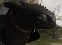 blah toothless