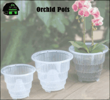 Cystal Air Pots Orchid Mixes GIF - Cystal Air Pots Orchid Mixes Vanda Baskets GIFs