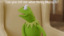 Holey Moley Kermit The Frog GIF - Holey Moley Kermit The Frog Muppets GIFs