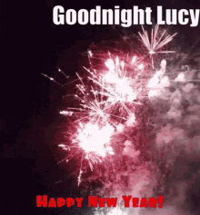 Goodnight Lucy Happy New Year GIF - Goodnight Lucy Happy New Year Happy New Year2022 GIFs