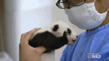 Hugging Pampered Pandas GIF - Hugging Pampered Pandas Caring GIFs