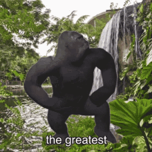 The Greatest The Bravest Harambe Itsrucka GIF - The Greatest The Bravest Harambe Itsrucka Harambe Forever Song GIFs