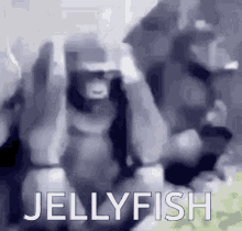 Jelpi Jellyfish GIF - Jelpi Jellyfish Jellyfish Entertainment GIFs