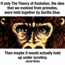 Evolution Gorilla GIF - Evolution Gorilla Gorilla Glue GIFs