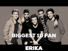 One Direction Erika GIF - One Direction Erika Discord GIFs