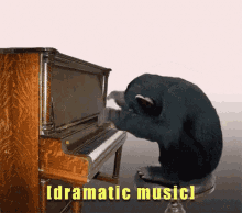 monkey music piano