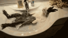 Cute Bunny Getting A Spa Treatment GIF - Bunnies Easter Bunny Spa At Home GIFs