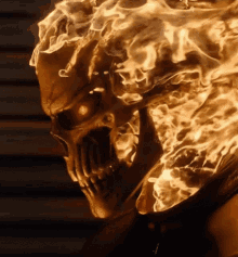 Skull Ghost Rider GIF - Skull Ghost Rider Flame GIFs