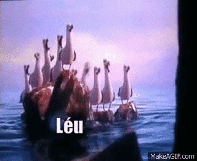 Leu Nemo Leu GIF.
