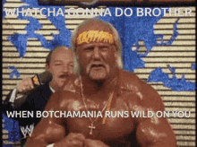 Hogan Botchamania GIF - Hogan Botchamania GIFs