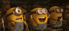 Happy Cheerful GIF - Happy Cheerful Excited GIFs