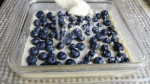 Blueberry Shortbread Bars GIF - Dessert GIFs