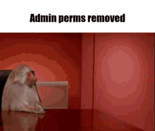 Admin Perms Removed Discord GIF - Admin Perms Removed Admin Discord GIFs