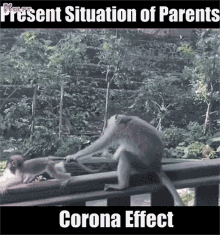 Present Situation Of Parents Corona Virus GIF - Present Situation Of Parents Corona Virus Parents Jokes GIFs