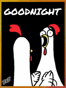 Chicken Bro Good Night GIF - Chicken Bro Good Night Naughty GIFs