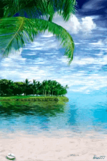tropical sea coconut beach sand