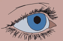 Eye Roll Animated GIF - Eye Roll Animated GIFs