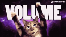 Pump Up The Volume Cat GIF - Pump Up The Volume Cat Pump Up GIFs