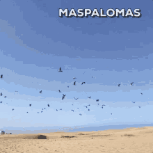 maspalomas visitmaspalomas visitgrancanaria lomas dunes