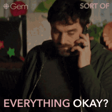 Everything Okay Paul GIF - Everything Okay Paul Sort Of GIFs