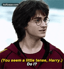 (You Seem A Little Tense, Harry.)Do 1?.Gif GIF - (You Seem A Little Tense Harry.)Do 1? Daniel Radcliffe GIFs