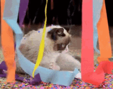 Party Time. - Grumpy Cat GIF - Grumpy Cat Tarder Sauce Tarder The Cat GIFs