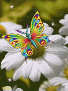 Flowers Butterfly GIF - Flowers Butterfly GIFs