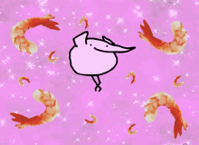 berd flamingo berd berd flamingo berd