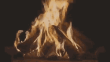 campfire bonfire