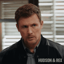Sigh Charlie Hudson GIF - Sigh Charlie Hudson Hudson And Rex GIFs