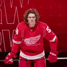 Red Wings Goal Detroit Red Wings Goal GIF - Red Wings Goal Detroit Red Wings Goal Moritz Seider GIFs