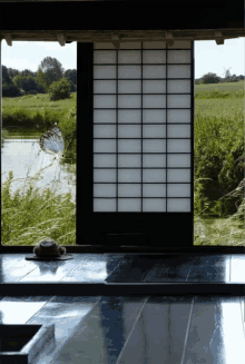 Zen GIF - Zen GIFs