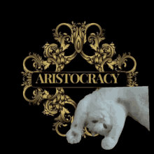 Lazy Cat GIF - Lazy Cat Aristocracy GIFs