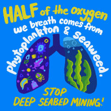 Defendthedeep The Oxygen Project GIF - Defendthedeep The Oxygen Project Waterislife GIFs