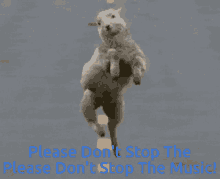 Dont Stop The Music Sheep GIF - Dont Stop The Music Sheep Dance GIFs