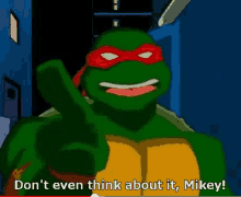 Raphael Dont Even Think About It Mikey GIF - Raphael Dont Even Think About It Mikey Nope GIFs