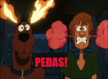 Pedas Scooby Doo GIF - Scooby Doo Shaggy Pedas GIFs