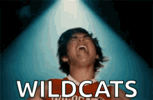 Screaming Wildcats GIF - Screaming Wildcats Zac Efron GIFs