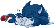 sonic sleeping snore tired asleep