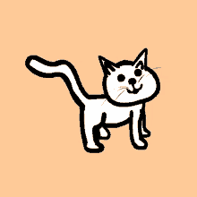Cat Macska GIF - Cat Macska Cica GIFs