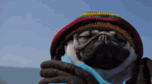 Pug Rastas GIF - Pug Rastas Reggae GIFs