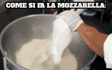 latticini latticino derivati del latte mozzarella cheese italian food