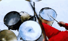 spearman drummer