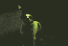 Rave Party GIF - Rave Party Club GIFs