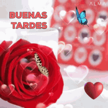 Rosa Roja Buenas Tardes GIF - Rosa Roja Buenas Tardes Butterfly GIFs
