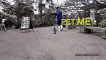 Pet Me Now Penguin GIF - Pet Me Now Penguin Chase GIFs