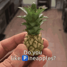 Hp Gif Pineapple GIF - Hp Gif Hp Pineapple GIFs