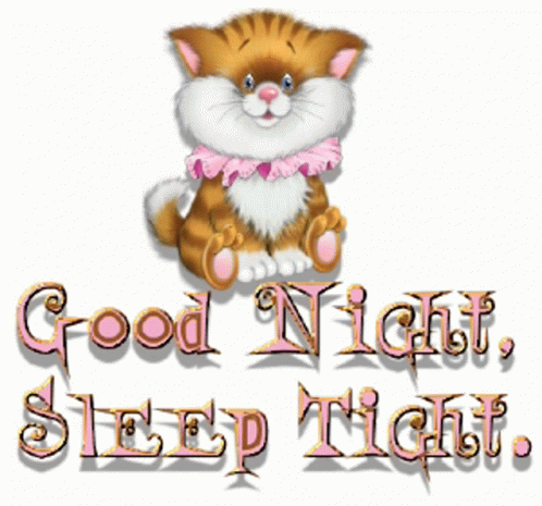 Good Night Kitty Sticker - Good Night Kitty Sleep Tight - Discover ...