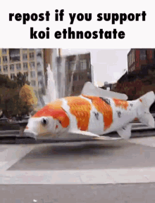 Koi Fish GIF - Koi Fish Repost GIFs