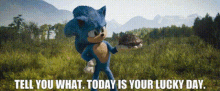 Sonic Tell You What GIF - Sonic Tell You What Today Is Your Lucky Day GIFs